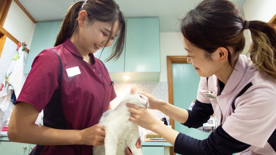 飼い主様とワンちゃん・猫ちゃんに
寄りそう診療を